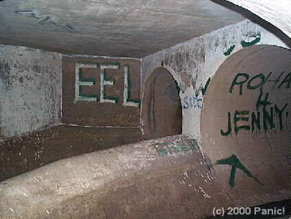 The eel room